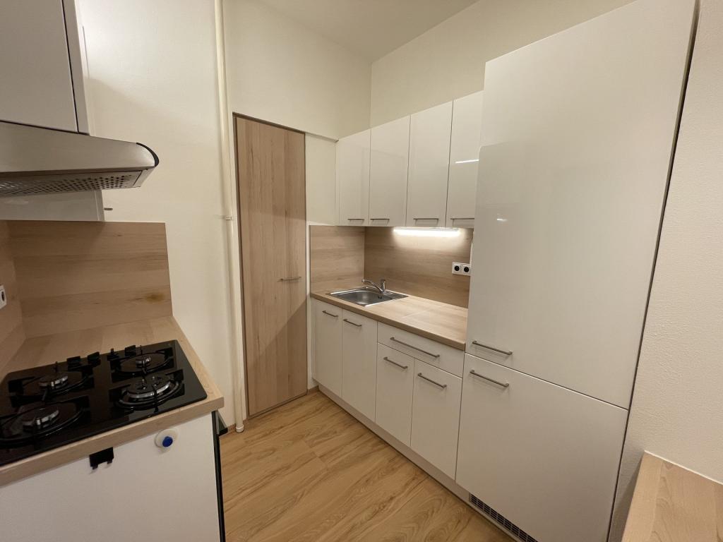 Pronájem bytu 2+1 53 m2