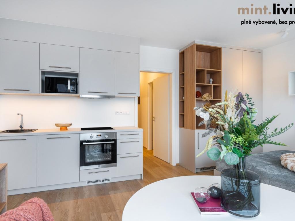 Pronájem bytu 1+kk 40 m2