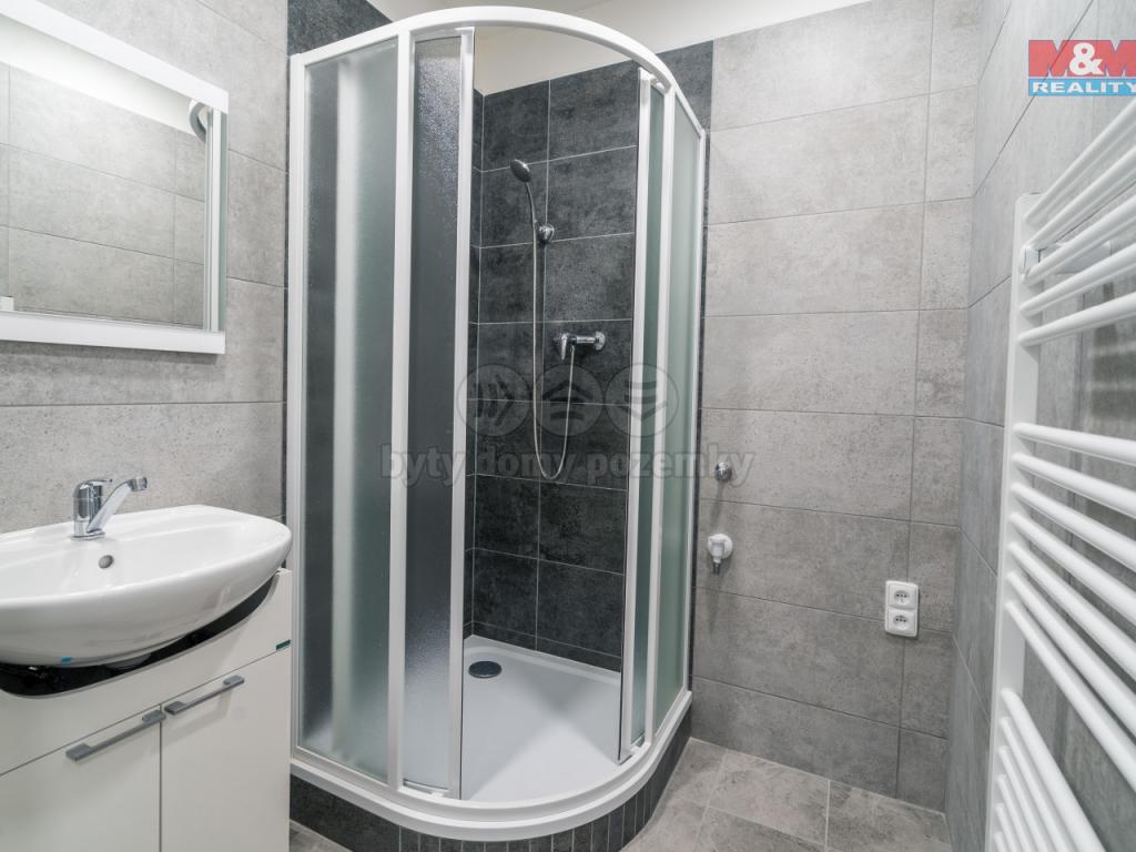 Pronajem bytu 3+1 75 m2