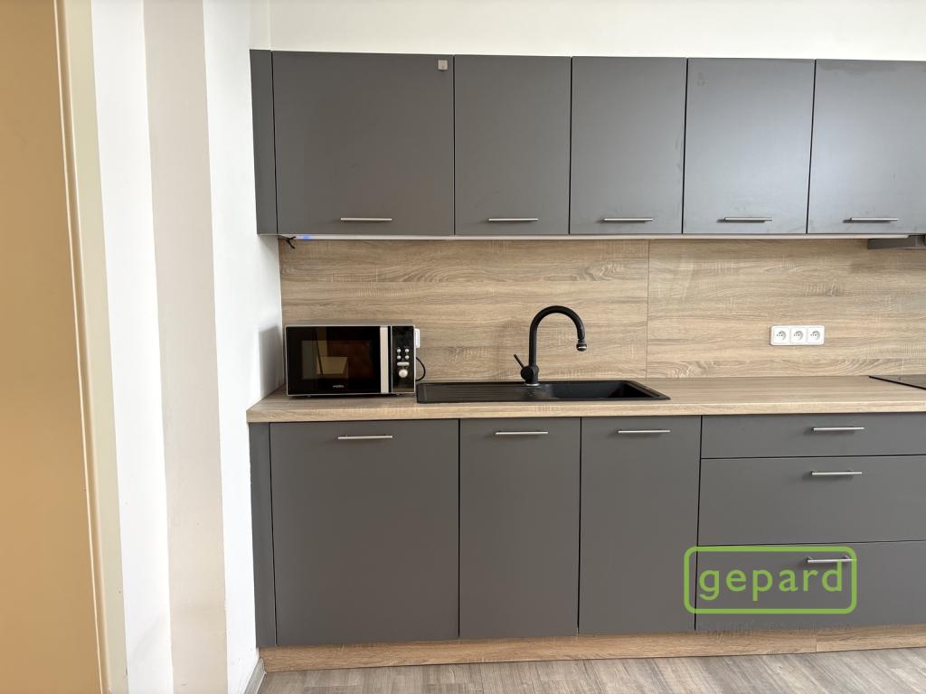 Pronájem bytu 2+1 60 m² - Więcej