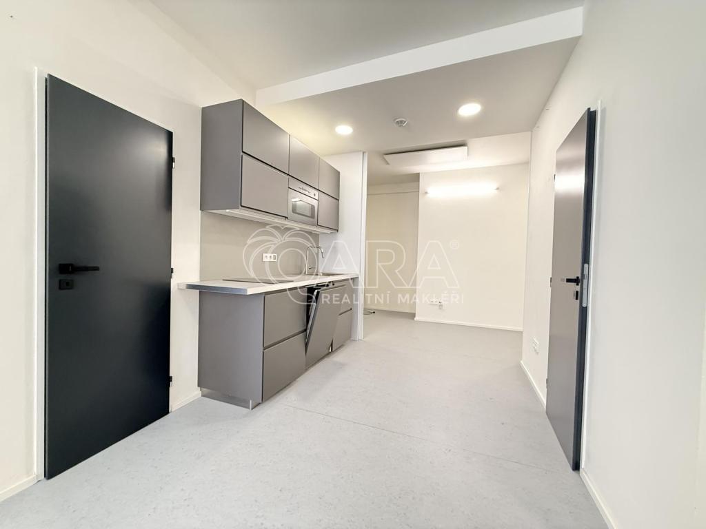 Pronájem bytu 1+kk 55 m2