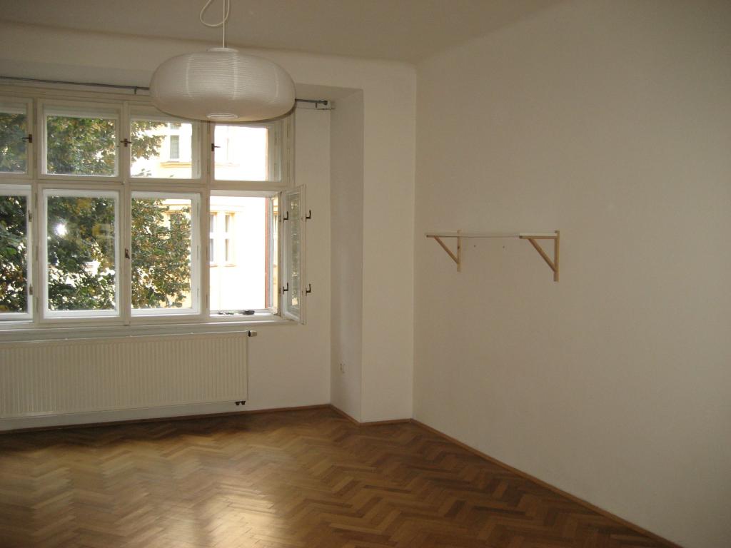 Spolubydleni bytu celý pokoj 110 m2