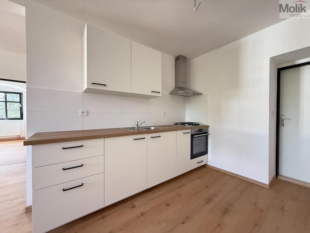 Pronájem bytu 3+kk 48 m2
