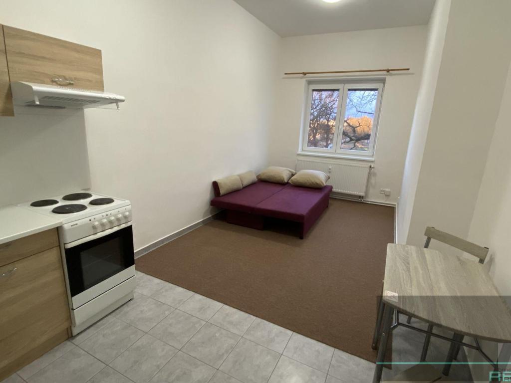 Pronájem bytu 1+kk 28 m2