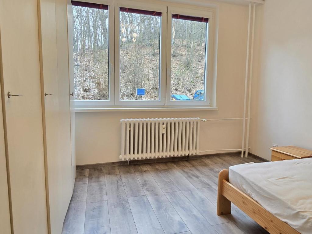 Pronájem bytu 3+1 66 m2