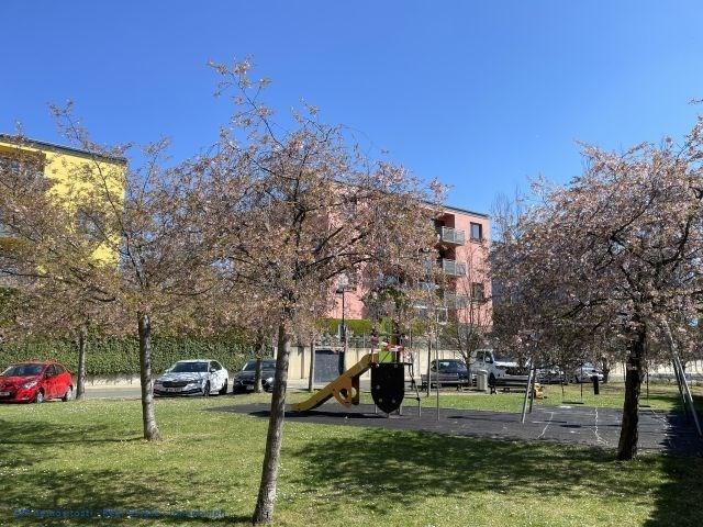 Pronájem bytu 3+kk 74 m2