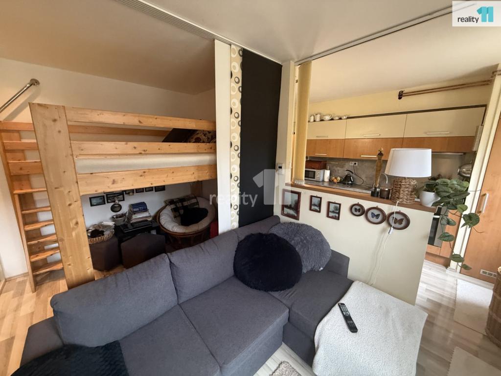 Pronájem bytu 1+kk 33 m2