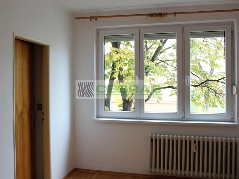 Pronájem bytu 2+1 55 m2