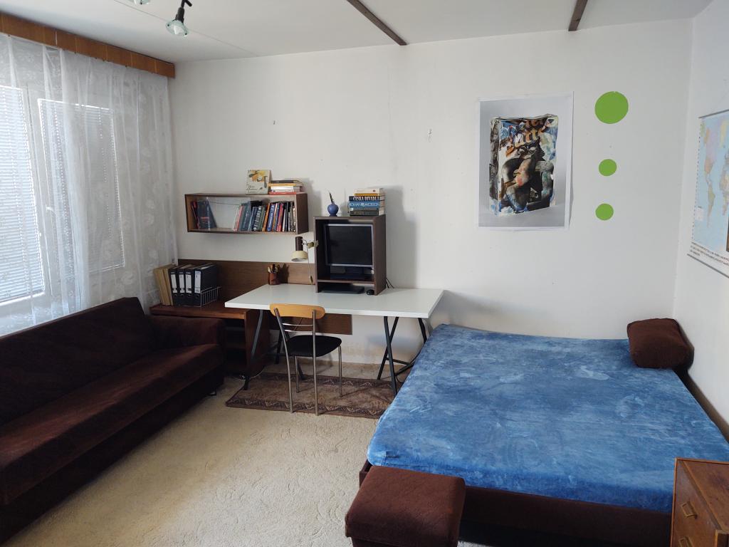 Pronájem bytu celý pokoj 20 m2