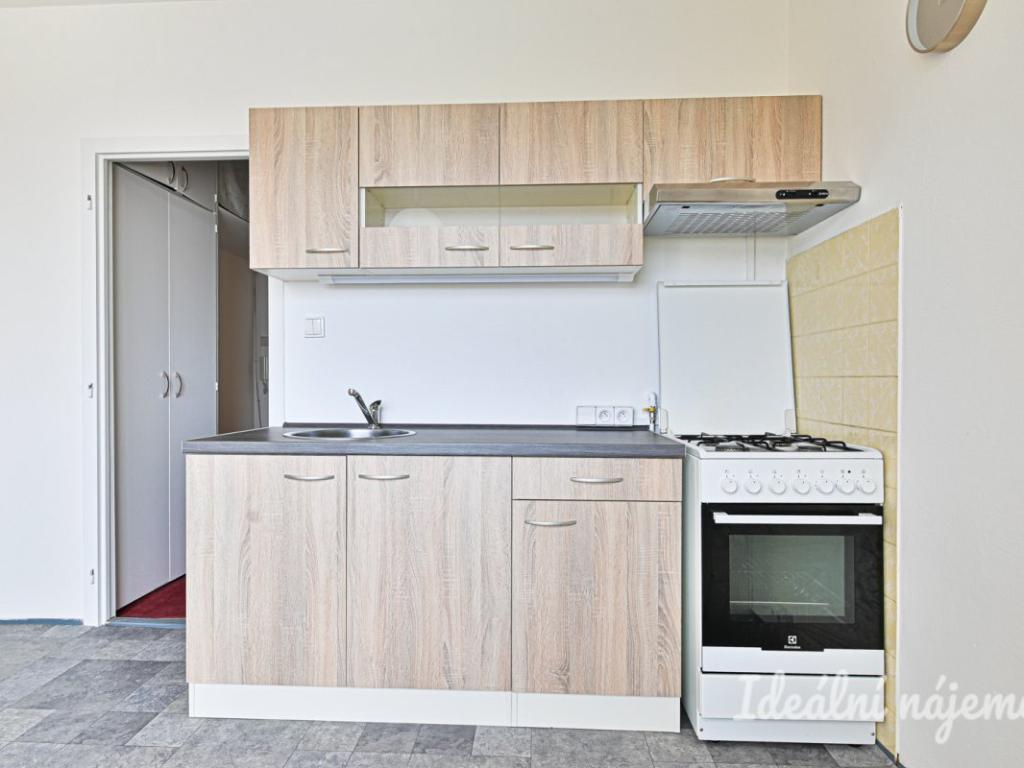 Pronájem bytu 1+1 40 m2