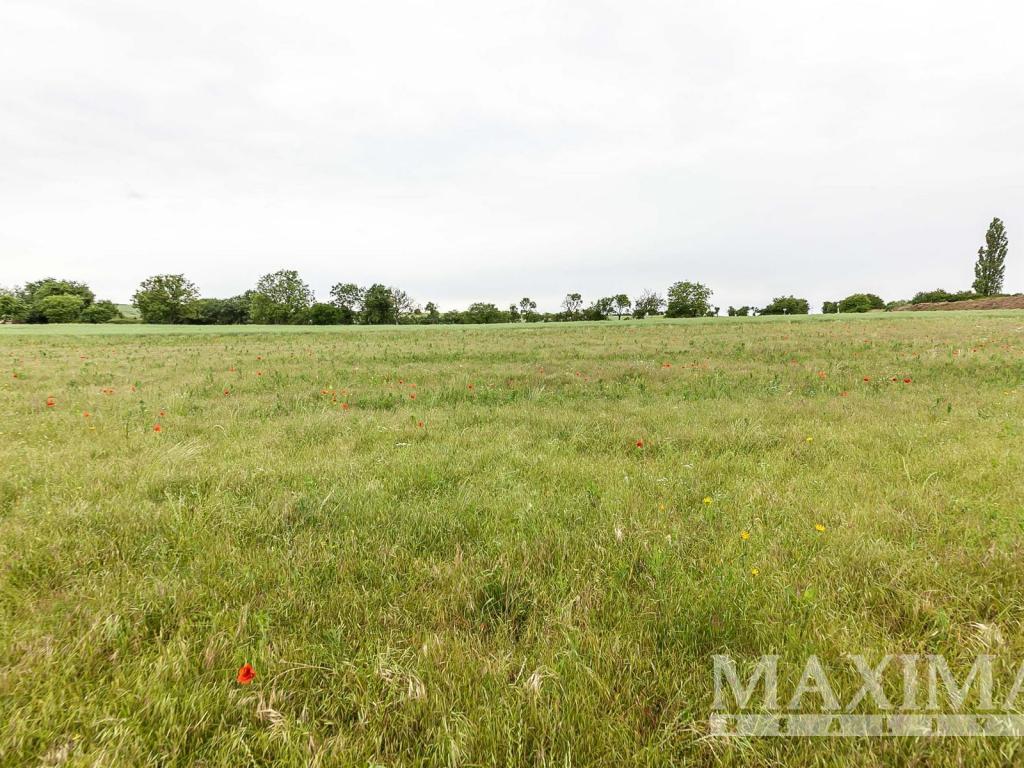 Prodej pozemku 1208 m2, Číčovice – náhled fotky 21