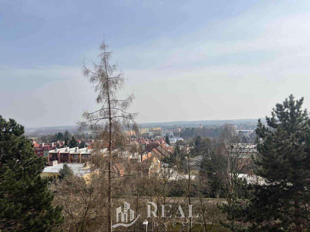 Pronájem bytu 1+1 42 m2