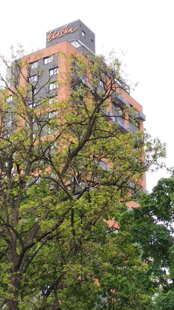 Pronájem bytu 1+kk 33 m2