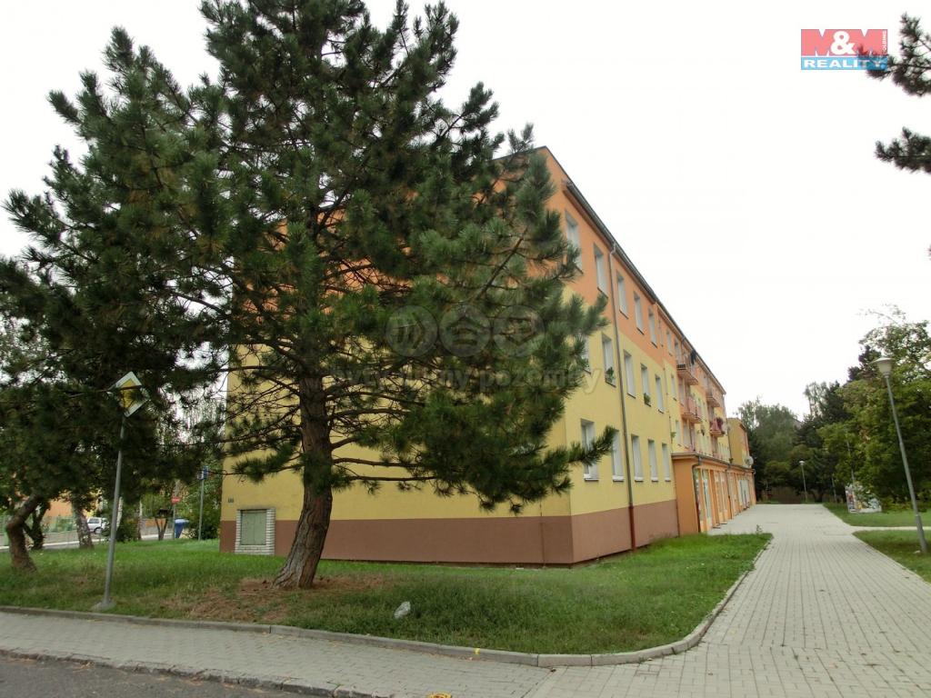 Pronajem bytu 2+1 40 m2