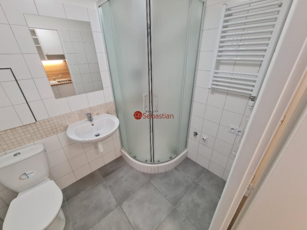 Pronájem bytu 1+1 36 m2