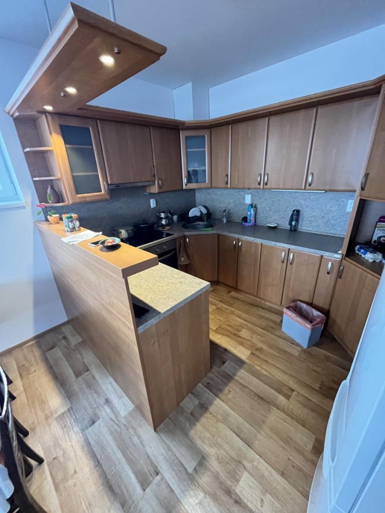 Pronájem bytu 3+1 74 m2