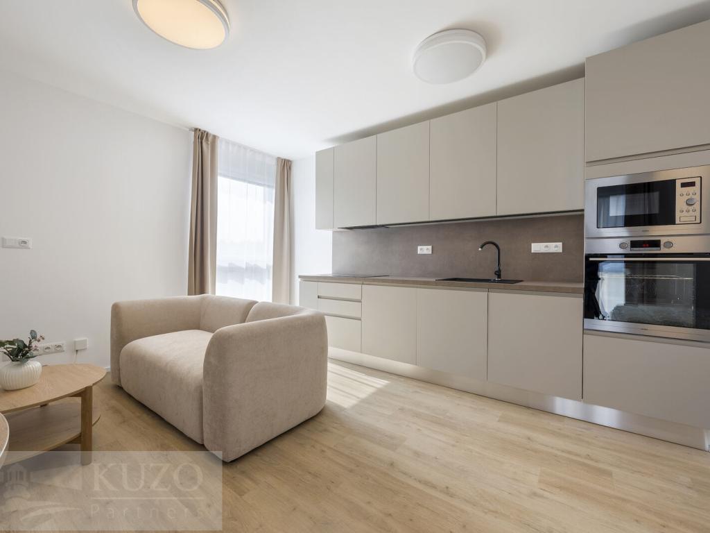 Pronájem bytu 1+kk 38 m2