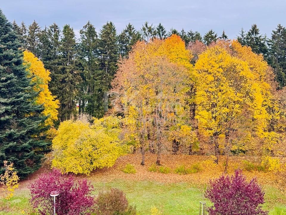 Prodej bytu 3+1 102 m2, Mariánské Lázně – náhled fotky 16