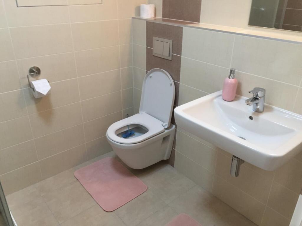 Pronajem bytu 1+kk 31 m2
