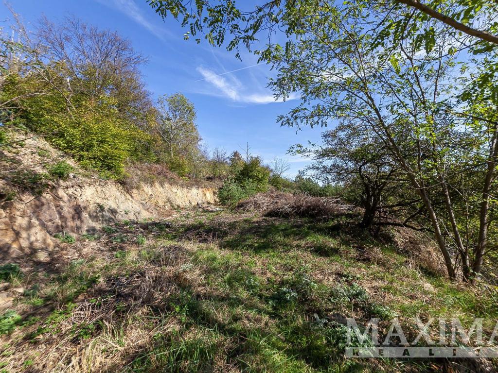Prodej pozemku 7462 m2, Solenice – náhled fotky 24
