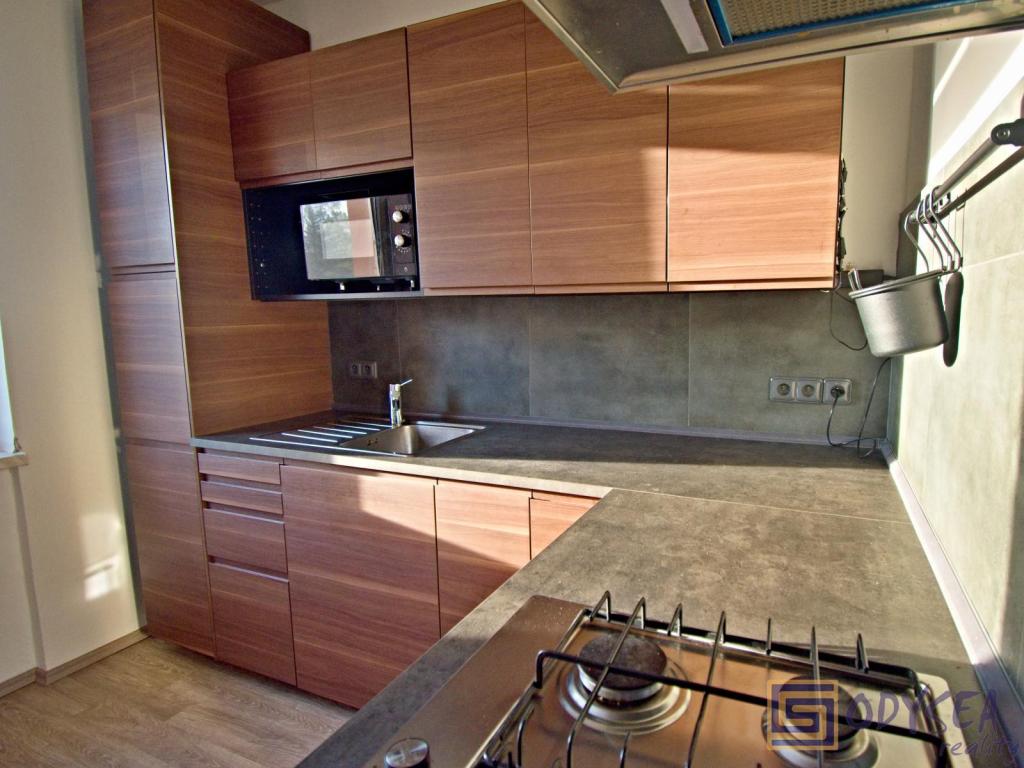 Pronájem bytu 2+1 50 m2