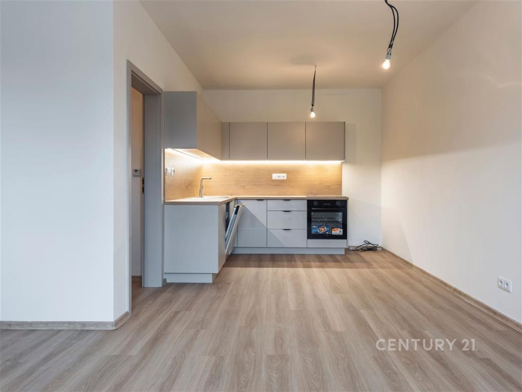 Pronájem bytu 1+kk 39 m2