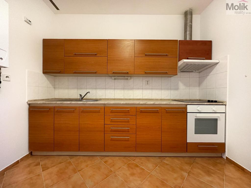 Pronájem bytu 1+1 42 m2