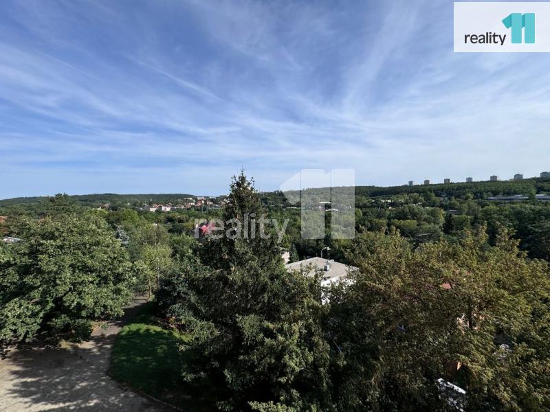 Pronájem bytu 1+1 46 m2