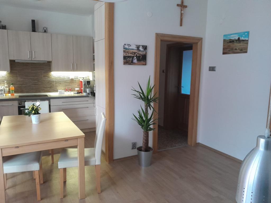 Pronajem bytu 3+1 79 m2