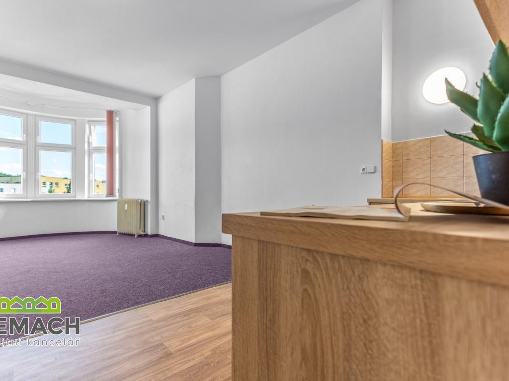 Pronájem bytu 1+kk 45 m2