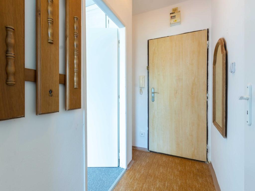 Pronájem bytu 1+1 39 m2