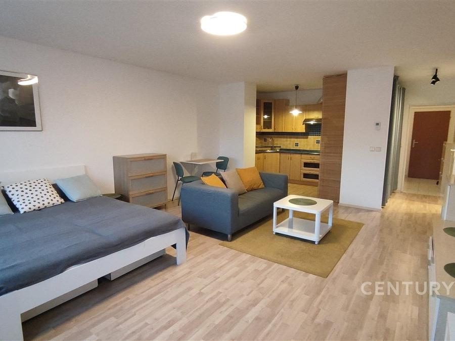 Pronájem bytu 1+kk 48 m2