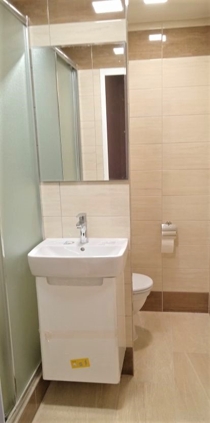 Pronajem bytu 2+1 45 m2