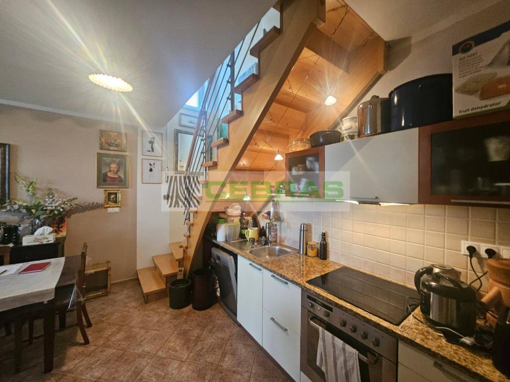 Pronájem 3+kk, České Budějovice - České