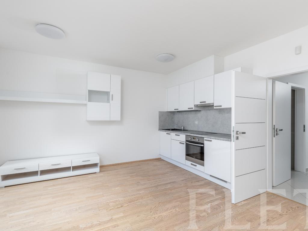 Pronájem bytu 1+kk 41 m2