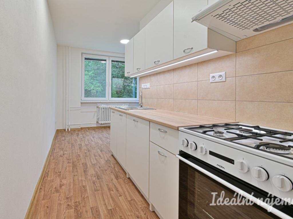 Pronájem bytu 2+1 53 m2