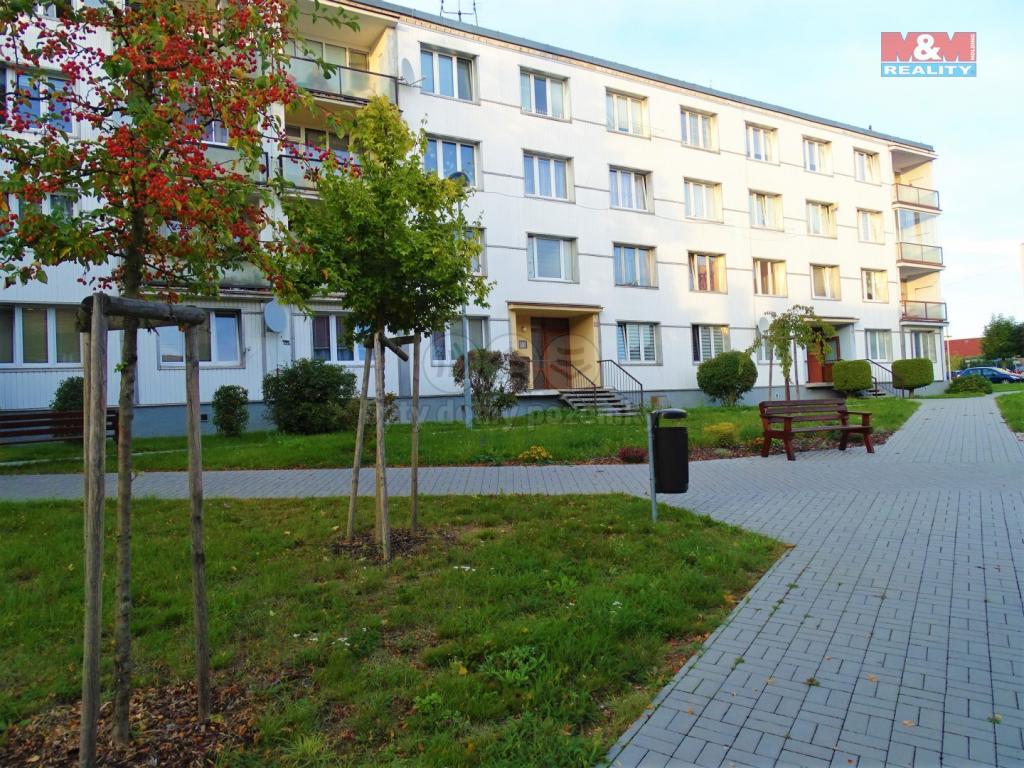 Pronajem bytu 2+1 65 m2