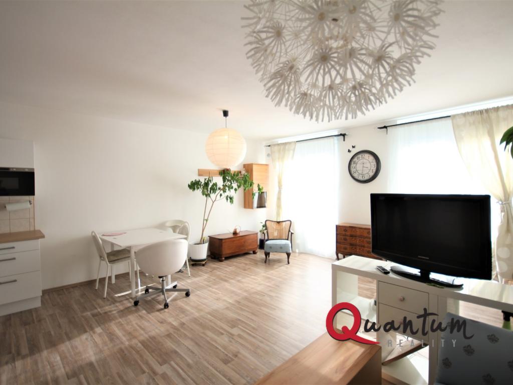 Pronájem bytu 1+kk 47 m2