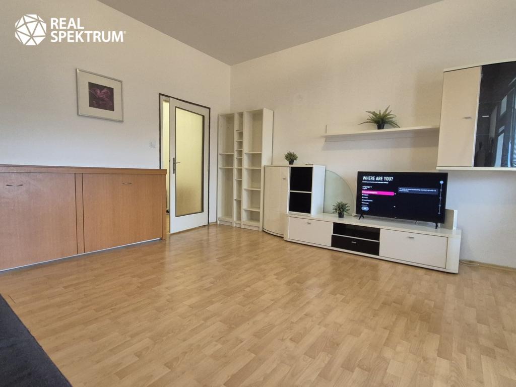 1+kk Apartment in Brno - View 3