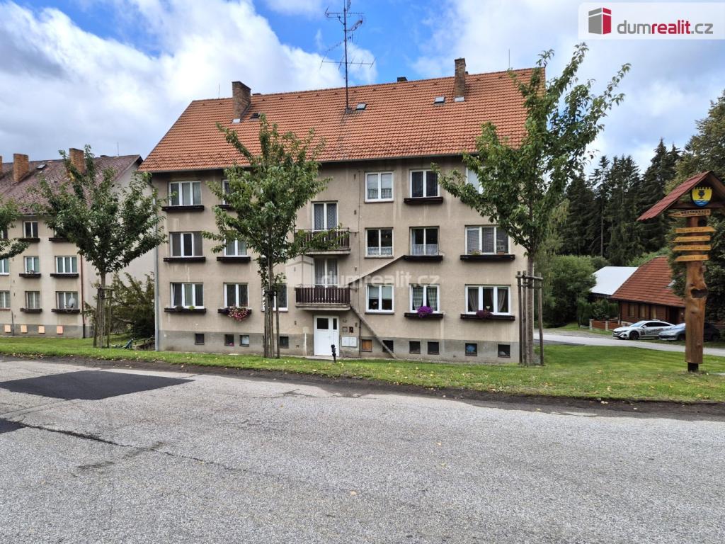 Prodej bytu 3+1 60 m2, Pohorská Ves – náhled fotky 25