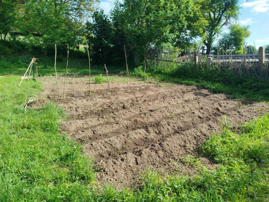 Pronájem domu 166 m2
