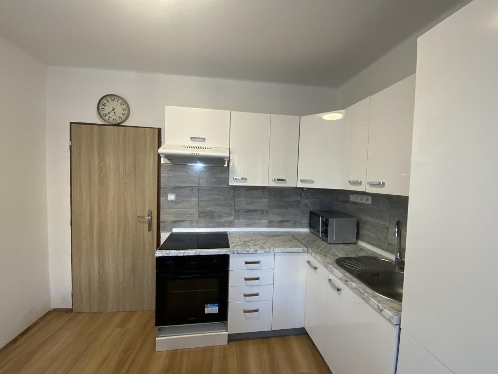 Pronájem bytu 2+1 60 m2