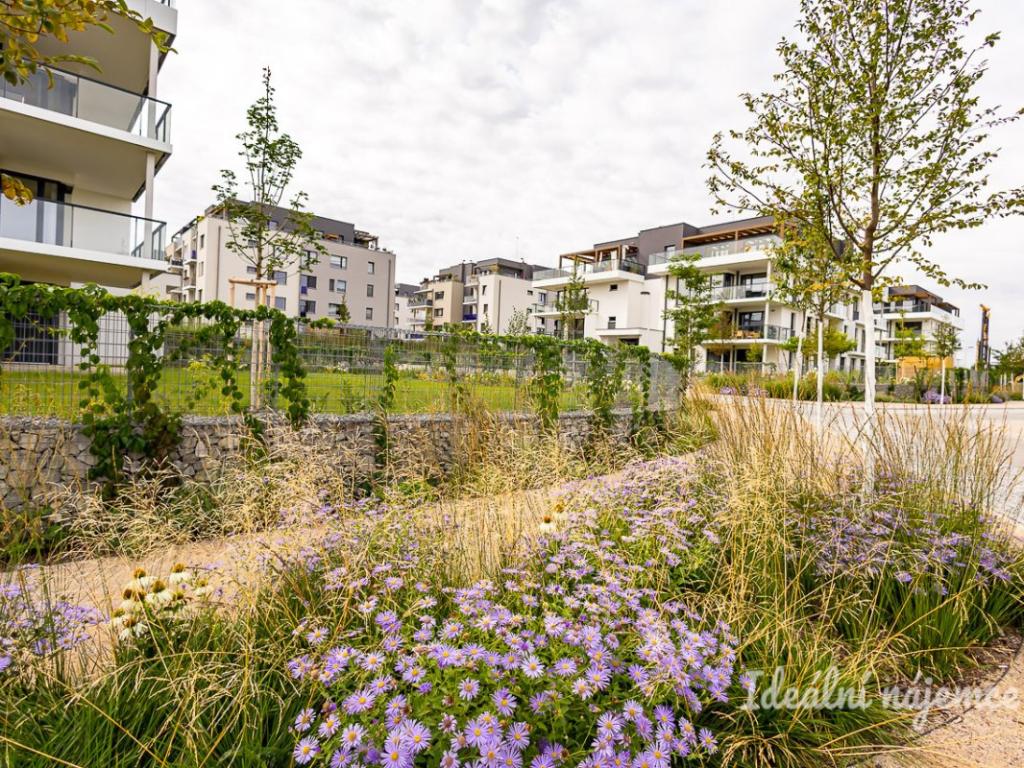 Pronájem bytu 2+kk 52 m2, Praha – náhled fotky 17