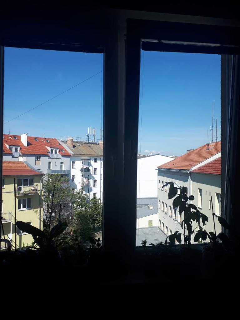 Pronajem bytu 3+kk 75 m2