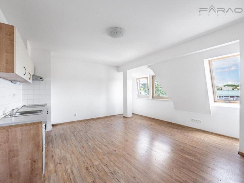 Pronájem bytu 1+kk 45 m2