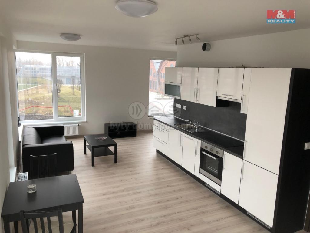 Pronajem bytu 1+kk 58 m2