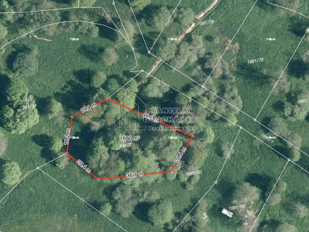 Prodej pozemku 4929 m2, Nová Ves – náhled fotky 2