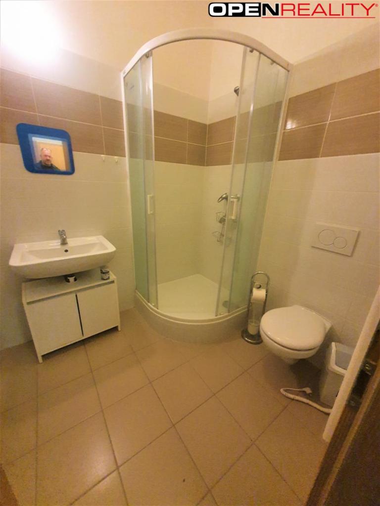 Pronájem bytu 1+1 33 m2