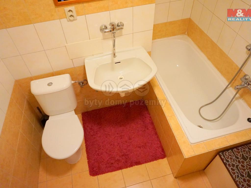 Pronajem bytu 1+1 50 m2