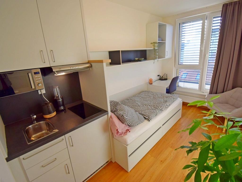 Pronájem bytu 1+kk 15 m2